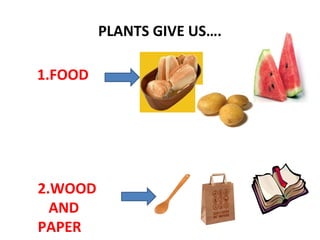 PLANTS GIVE US….
1.FOOD

2.WOOD
AND
PAPER

 