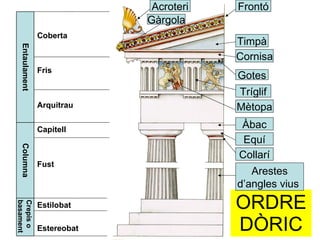 ORDRE DÒRIC Acroteri Timpà Cornisa Frontó Tríglif Mètopa Gàrgola Àbac Equí Collarí Arestes d’angles vius  Gotes Estilobat Estereobat Crepis o   basament Capitell Fust Columna Coberta Fris Arquitrau Entaulament 