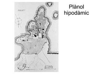 Plànol hipodàmic 