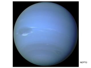 NEPTÚ
NEPTÚ
 
