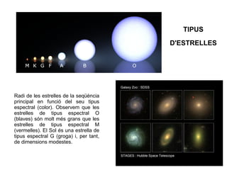 Radi de les estrelles de la seqüència
principal en funció del seu tipus
espectral (color). Observem que les
estrelles de tipus espectral O
(blaves) són molt més grans que les
estrelles de tipus espectral M
(vermelles). El Sol és una estrella de
tipus espectral G (groga) i, per tant,
de dimensions modestes.
TIPUS
D'ESTRELLES
 