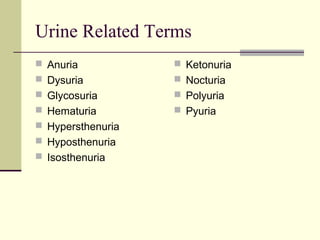 Powerpoint urinalysis ripley (3) | PPT