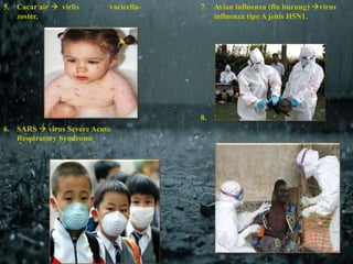 5. Cacar air  virus varicella-zoster. 
6. SARS  virus Severe Acute 
Respiratory Syndrome. 
7. Avian influenza (flu burung) virus 
influenza tipe A jenis H5N1. 
8. Ebola  virus ebola. 
 