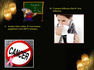 9. Kanker leher rahim  virus human 
pappiloma virus (HPV) onkogen. 
10. Common influenza (flu) virus 
influenza. 
 