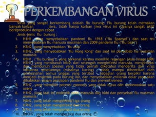 PERKEMBANGAN VIRUS 
Virus yang sangat berkembang adalah flu burung. Flu burung telah memakan 
banyak korban jiwa, tidak hanya korban jiwa virus ini rupanya sangat aktif 
bereproduksi dengan cepat. 
Jenis-jenis flu burung : 
1. H1N1, yang menyebabkan pandemi flu 1918 ("flu Spanyol") dan saat ini 
menyebabkan flu manusia musiman dan 2009 pandemi flu ("flu babi") 
2. H2N2, yang menyebabkan "flu Asia" 
3. H3N2, yang menyebabkan "flu Hong Kong" dan saat ini penyebab flu musiman 
manusia 
4. H5N1, ("flu burung"), yang terkenal karena memiliki regangan (Asia-linage HPAI 
H5N1) yang membunuh lebih dari setengah menginfeksi manusia, menginfeksi 
dan membunuh spesies yang tidak pernah diketahui menderita dari virus 
influenza sebelumnya (misalnya kucing) , tidak mampu dihentikan oleh 
pemusnahan semua unggas yang terlibat - sebagian orang berpikir karena 
menjadi endemik pada burung liar, dan menyebabkan miliaran dolar yang akan 
dihabiskan dalam persiapan pandemi flu dan preventiveness 
5. H7N7, yang memiliki potensi zoonosis yang tidak biasa dan menewaskan satu 
orang 
6. H1N2, yang saat ini endemik pada manusia dan babi dan penyebab flu musiman 
manusia 
7. H9N2, yang telah menginfeksi tiga orang 
8. H7N2, yang telah menginfeksi dua orang 
9. H7N3, yang telah menginfeksi dua orang 
10. H10N7, yang telah menginfeksi dua orang 
 