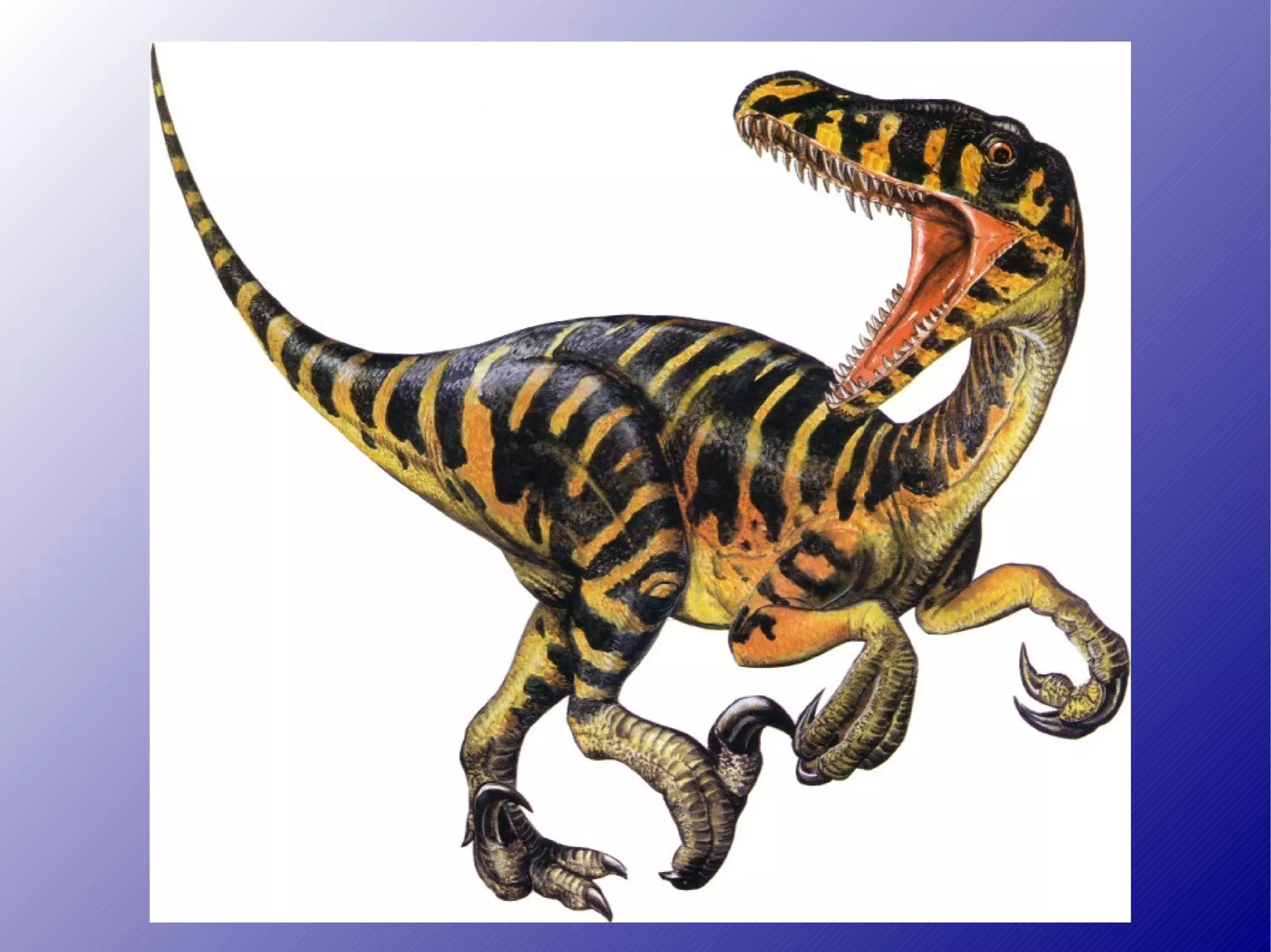Velociraptor PVC | De Snelste en Slimste Dinosaurus