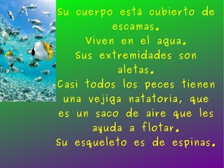 Su cuerpo está cubierto de escamas. Viven en el agua. Sus extremidades son aletas. Casi todos los peces tienen una vejiga natatoria, que es un saco de aire que les ayuda a flotar. Su esqueleto es de espinas.  