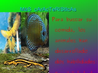 MáS  cArAcTeRíStIcAs  Para buscar su comida, los animales han desarrollado dos habilidades: Sensibilidad al medio: perciben cambios en el medio en el que viven. Pueden desplazarse para poder encontrar alimento.   