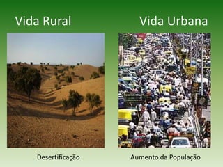 Vida Rural                      Vida UrbanaDesertificaçãoAumento da População