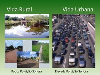 Vida Rural                      Vida UrbanaPouca Poluição SonoraElevada Poluição Sonora 