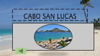 CABO SAN LUCAS
 