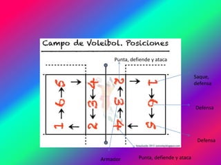 Saque,
defensa
Defensa
Defensa
Punta, defiende y atacaArmador
Punta, defiende y ataca
 