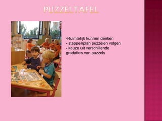 -Ruimtelijk kunnen denken
- stappenplan puzzelen volgen
- keuze uit verschillende
gradaties van puzzels

 