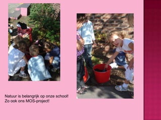 Natuur is belangrijk op onze school!
Zo ook ons MOS-project!

 