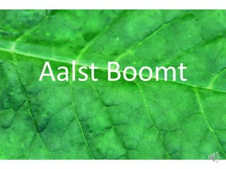 Aalst Boomt
 