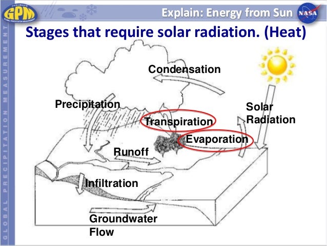 Neat Diagram Of Water Cycle Images - How To Guide And Refrence