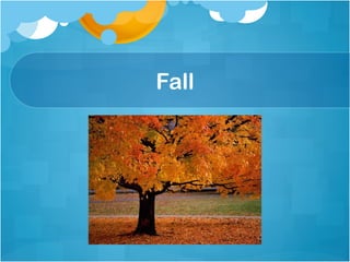 Fall
 