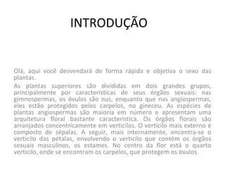 INTRODUÇÃO Olá, aqui você desvendará de forma rápida e objetiva o sexo das plantas. As plantas superiores são divididas em dois grandes grupos, principalmente por características de seus órgãos sexuais: nas gimnospermas, os óvulos são nus, enquanto que nas angiospermas, eles estão protegidos pelos carpelos, no gineceu. As espécies de plantas angiospermas são maioria em número e apresentam uma arquitetura floral bastante característica. Os órgãos florais são arranjados concentricamente em verticilos. O verticilo mais externo é composto de sépalas. A seguir, mais internamente, encontra-se o verticilo das pétalas, envolvendo o verticilo que contém os órgãos sexuais masculinos, os estames. No centro da flor está o quarto verticilo, onde se encontram os carpelos, que protegem os óvulos. 