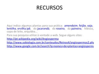 RECURSOS Aqui indico algumas plantas para sua prática:   amendoim ,  feijão ,  soja ,  lentilha ,  ervilha , ipê , do  jacarandá , da  roseira , da  paineira , hibisco, copo de leite, orquídea... Para sua pesquisa utilize à vontade a web. Segue alguns sites: http://pt.wikipedia.org/wiki/Angiosperma http://www.sobiologia.com.br/conteudos/Reinos4/angiospermas2.php http://www.google.com.br/search?q=nomes+de+plantas+angiospermas&hl=ptBR&biw=1440&bih=799&prmd=imvns&tbm=isch&tbo=u&source=univ&sa=X&ei=IhC0Tqv2MonagQe556GFBA&sqi=2&ved=0CG8QsAQ 
