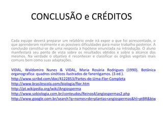 CONCLUSÃO e CRÉDITOS Cada equipe deverá preparar um relatório onde irá expor o que foi acrescentado, o que aprenderam realmente e as possíveis dificuldades para maior trabalho posterior. A conclusão constitui-se de uma resposta à hipótese enunciada na introdução. O aluno manifestará seu ponto de vista sobre os resultados obtidos e sobre o alcance dos mesmos. Na verdade o objetivo é reconhecer e classificar os órgãos vegetais mais comuns bem como suas adaptações.   VIDAL, Waldomiro Nunes & VIDAL, Maria Rosária Rodrigues (1990). Botânica organografica: quadros sinóticos ilustrados de fanerógamos. (3 ed.). http://www.scribd.com/doc/4122853/Partes-de-Uma-Flor-Completa http://www.brasilescola.com/biologia/flor.htm http://pt.wikipedia.org/wiki/Angiosperma http://www.sobiologia.com.br/conteudos/Reinos4/angiospermas2.php http://www.google.com.br/search?q=nomes+de+plantas+angiospermas&hl=ptBR&biw=1440&bih=799&prmd=imvns&tbm=isch&tbo=u&source=univ&sa=X&ei=IhC0Tqv2MonagQe556GFBA&sqi=2&ved=0CG8QsAQ 