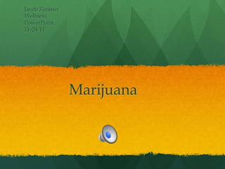 Jacob Zentner
Wellness
PowerPoint
11-24-11




                Marijuana
 