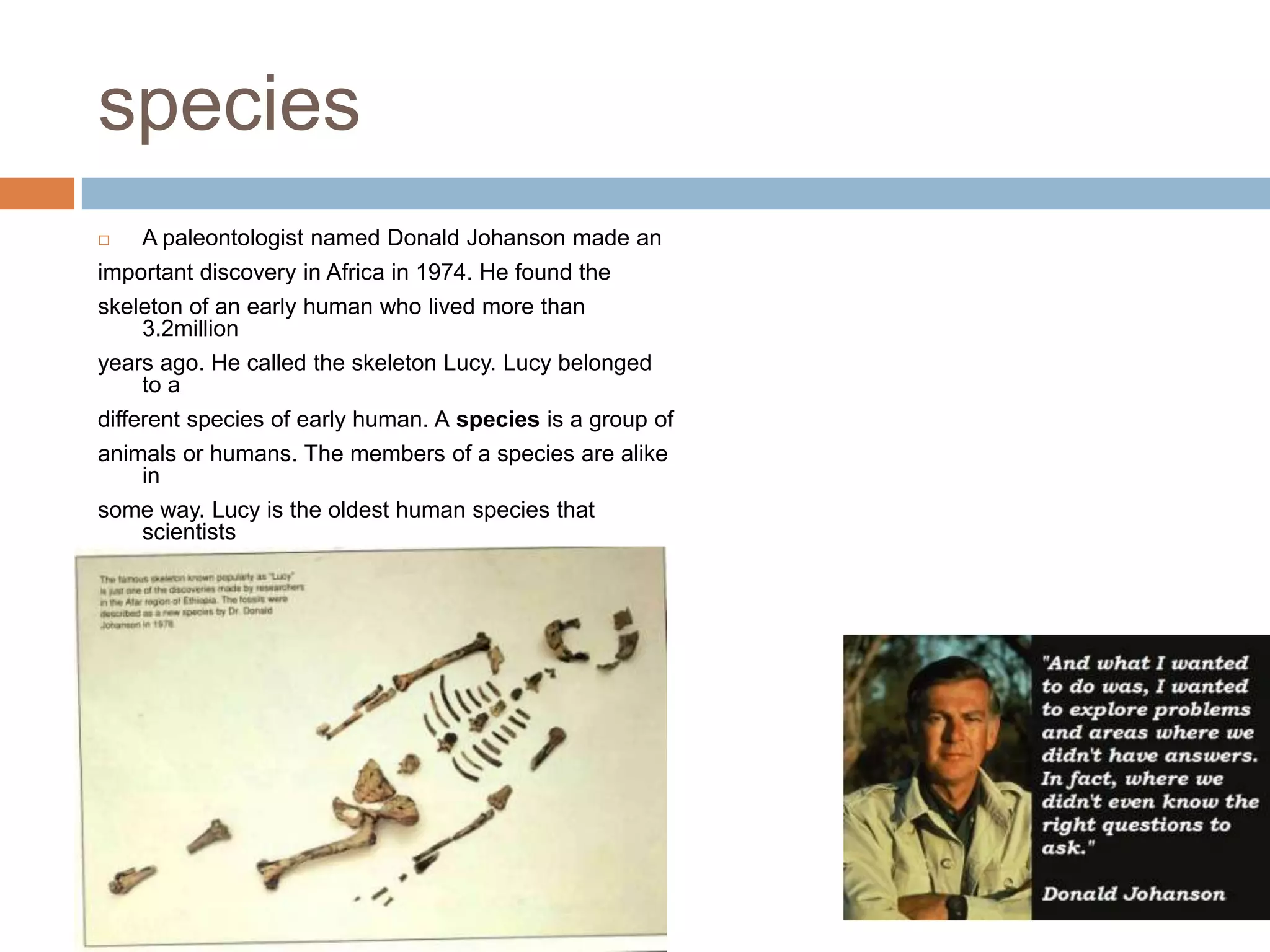 species
 A paleontologist named Donald Johanson made an
important discovery in Africa in 1974. He found the
skeleton of an early human who lived more than
3.2million
years ago. He called the skeleton Lucy. Lucy belonged
to a
different species of early human. A species is a group of
animals or humans. The members of a species are alike
in
some way. Lucy is the oldest human species that
scientists
have ever found. Lucy can help us learn more about
how
humans developed.
 
