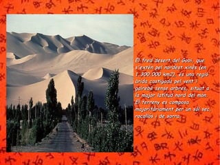 El fred ddeesseerrtt ddeell GGoobbii,, qquuee 
ss''eexxttéénn ppeell nnoorrddeesstt xxiinnèèss ((eenn 
11..330000..000000 kkmm22)),, ééss uunnaa rreeggiióó 
ààrriiddaa ccaassttiiggaaddaa ppeell vveenntt ii 
ggaaiirreebbéé sseennssee aarrbbrreess,, ssiittuuaatt aa 
llaa mmaajjoorr llaattiittuudd nnoorrdd ddeell mmóónn.. 
EEll tteerrrreennyy eess ccoommppoossaa 
mmaajjoorriittààrriiaammeenntt ppeerr uunn ssòòll sseecc,, 
rrooccaallllóóss ii ddee ssoorrrraa.. 
 