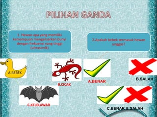 1. Hewan apa yang memiliki 
kemampuan mengeluarkan bunyi 
dengan frekuensi yang tinggi 
(ultrasonik) 
b. cicak 
c. kelelawar 
a. bebek 
2.Apakah bebek termasuk hewan 
unggas? 
b. tidak 
c. Benar 
dan tidak 
a. benar 
A.BEBEK 
C.KELELAWAR 
B.CICAK 
A.BENAR 
B.SALAH 
C.BENAR & SALAH 
 