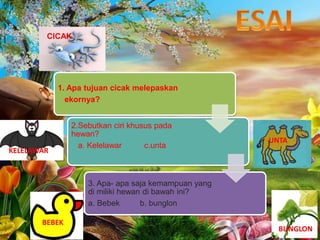 1. Apa tujuan cicak melepaskan 
ekornya? 
2.Sebutkan ciri khusus pada 
hewan? 
a. Kelelawar c.unta 
3. Apa- apa saja kemampuan yang 
di miliki hewan di bawah ini? 
a. Bebek b. bunglon 
CICAK 
KELELAWAR 
UNTA 
BEBEK 
BUNGLON 
