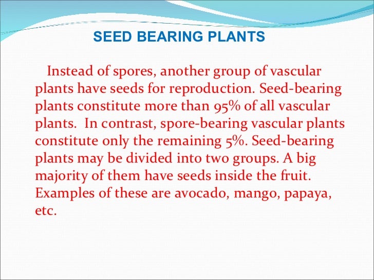 What are seed-bearing plants?