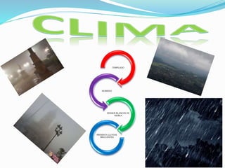 TEMPLADO
HUMEDO
DENSOS BLANCOS DE
NIEBLA
PRESENTA LLUVIAS
FRECUENTES
 