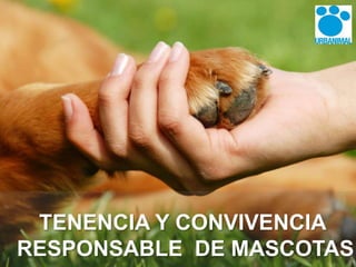 TENENCIA Y CONVIVENCIA 
RESPONSABLE DE MASCOTAS 
 