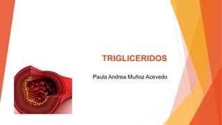 TRIGLICERIDOS
Paula Andrea Muñoz Acevedo
 