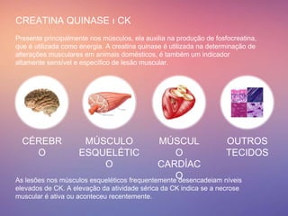 Atividade Sérica das Enzimas CK GGT AST | PPTX