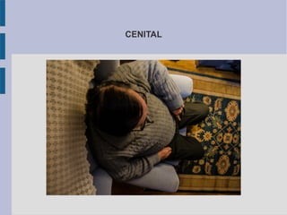 CENITAL
