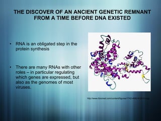 THE DISCOVER OF AN ANCIENT GENETIC REMNANT FROM A TIME BEFORE DNA EXISTED RNA is an obligated step in the protein synthesis  There are many RNAs with other roles – in particular regulating which genes are expressed, but also as the genomes of most viruses. http://www.tbiomed.com/content/figures/1742-4682-6-22-3-l.jpg 