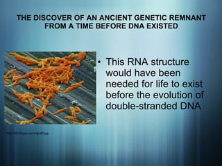 THE DISCOVER OF AN ANCIENT GENETIC REMNANT FROM A TIME BEFORE DNA EXISTED This RNA structure would have been needed for life to exist before the evolution of double-stranded DNA http://i32.tinypic.com/4jpz6f.jpg 