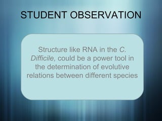 STUDENT OBSERVATION Structure like RNA in the  C. Difficile,  could be a power tool in the determination of evolutive relations between different species     