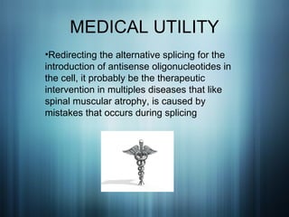 MEDICAL UTILITY Redirecting the alternative splicing for the introduction of antisense oligonucleotides in the cell, it probably be the therapeutic intervention in multiples diseases that like spinal muscular atrophy, is caused by mistakes that occurs during splicing 