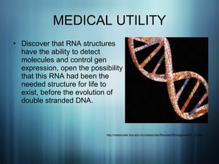 MEDICAL UTILITY Discover that RNA structures have the ability to detect molecules and control gen expression, open the possibility that this RNA had been the needed structure for life to exist, before the evolution of double stranded DNA. http://redescolar.ilce.edu.mx/redescolar/Revista/08/imagenes/07_01.jpg 