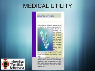 MEDICAL UTILITY 