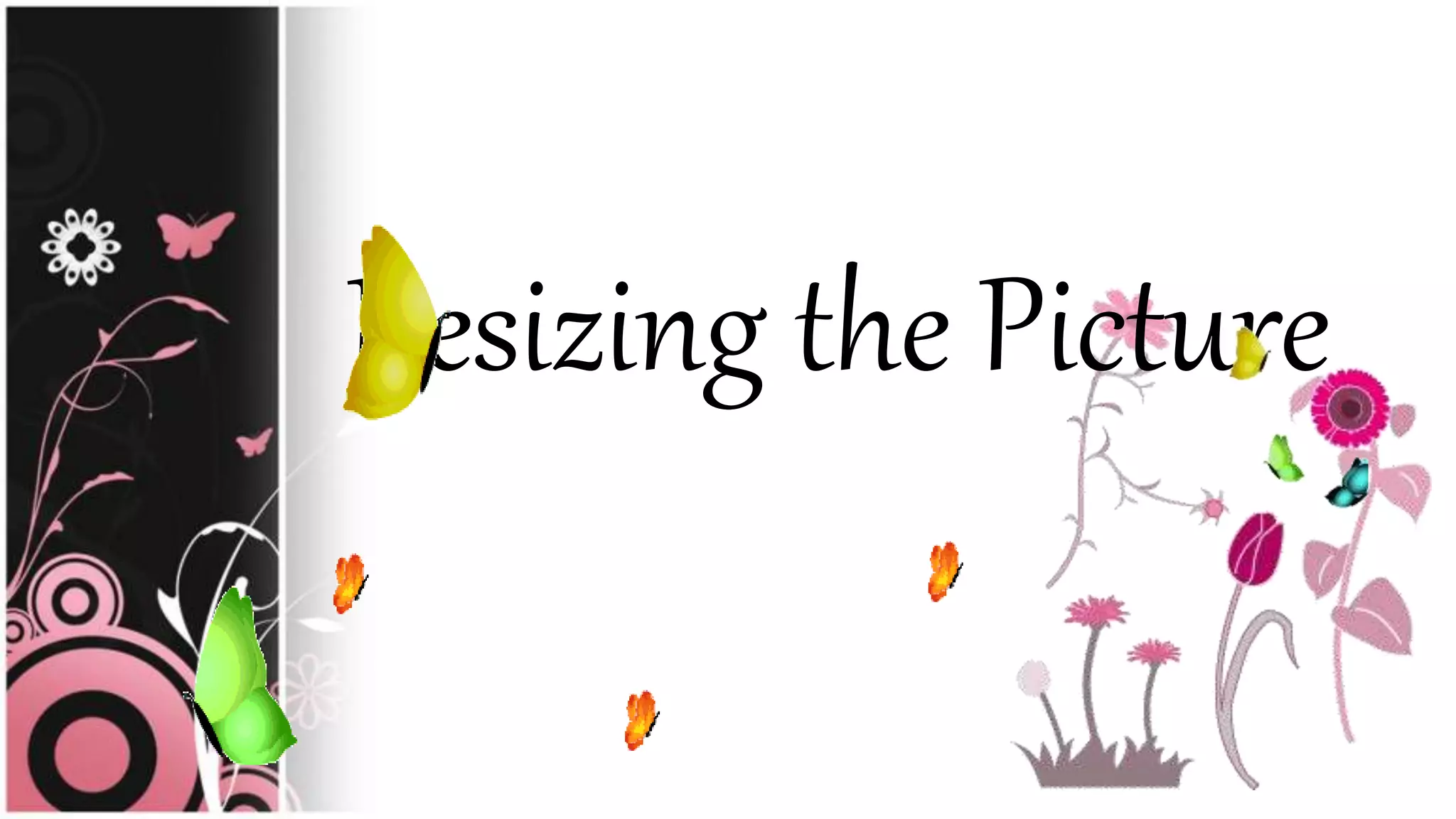 Resizing the Picture
 