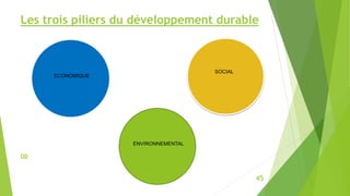 Les trois piliers du développement durable
45
DD
SOCIAL
ENVIRONNEMENTAL
ECONOMIQUE
 