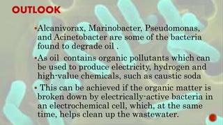 OUTLOOK
Alcanivorax, Marinobacter, Pseudomonas,
and Acinetobacter are some of the bacteria
found to degrade oil .
As oil contains organic pollutants which can
be used to produce electricity, hydrogen and
high-value chemicals, such as caustic soda
 This can be achieved if the organic matter is
broken down by electrically-active bacteria in
an electrochemical cell, which, at the same
time, helps clean up the wastewater.
 