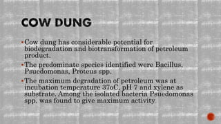 Cow dung has considerable potential for
biodegradation and biotransformation of petroleum
product.
The predominate species identified were Bacillus,
Psuedomonas, Proteus spp.
The maximum degradation of petroleum was at
incubation temperature 37oC, pH 7 and xylene as
substrate. Among the isolated bacteria Psuedomonas
spp. was found to give maximum activity.
 