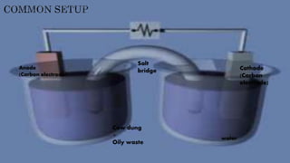 Anode
(Carbon electrode)
Cathode
(Carbon
electrode)
Cow dung
+
Oily waste
Salt
bridge
water
 