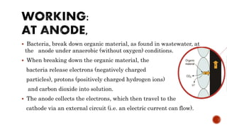  Bacteria, break down organic material, as found in wastewater, at
the anode under anaerobic (without oxygen) conditions.
 When breaking down the organic material, the
bacteria release electrons (negatively charged
particles), protons (positively charged hydrogen ions)
and carbon dioxide into solution.
 The anode collects the electrons, which then travel to the
cathode via an external circuit (i.e. an electric current can flow).
 