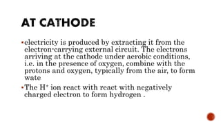 electricity is produced by extracting it from the
electron-carrying external circuit. The electrons
arriving at the cathode under aerobic conditions,
i.e. in the presence of oxygen, combine with the
protons and oxygen, typically from the air, to form
wate
The H+ ion react with react with negatively
charged electron to form hydrogen .
 