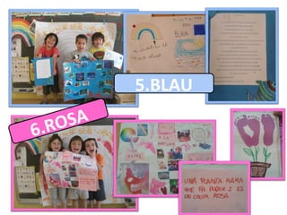 5.BLAU
6.ROSA
 