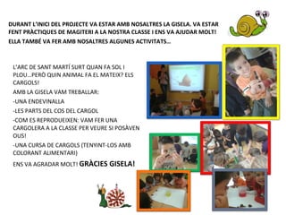 DURANT L’INICI DEL PROJECTE VA ESTAR AMB NOSALTRES LA GISELA. VA ESTAR
FENT PRÀCTIQUES DE MAGITERI A LA NOSTRA CLASSE I ENS VA AJUDAR MOLT!
ELLA TAMBÉ VA FER AMB NOSALTRES ALGUNES ACTIVITATS…
L’ARC DE SANT MARTÍ SURT QUAN FA SOL I
PLOU…PERÒ QUIN ANIMAL FA EL MATEIX? ELS
CARGOLS!
AMB LA GISELA VAM TREBALLAR:
-UNA ENDEVINALLA
-LES PARTS DEL COS DEL CARGOL
-COM ES REPRODUEIXEN: VAM FER UNA
CARGOLERA A LA CLASSE PER VEURE SI POSÀVEN
OUS!
-UNA CURSA DE CARGOLS (TENYINT-LOS AMB
COLORANT ALIMENTARI)
ENS VA AGRADAR MOLT! GRÀCIES GISELA!
 